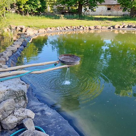 Dvur Dolenec Apartment Rohoznice  Bagian luar foto