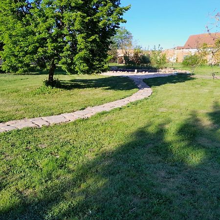 Dvur Dolenec Apartment Rohoznice  Bagian luar foto