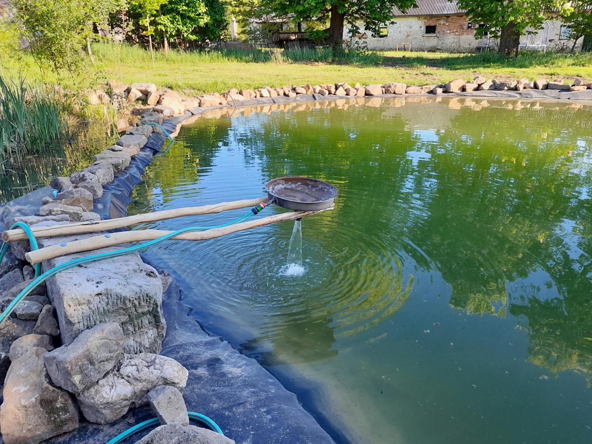 Dvur Dolenec Apartment Rohoznice  Bagian luar foto